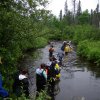 02-entering the stream